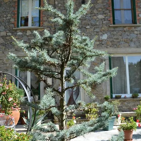 Bounty, B&b, Cuisine Privee, Lit Queen Size, Terrasse, Parking, Garage B&B