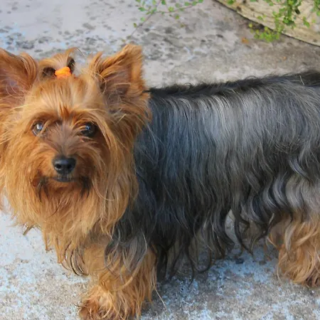 Bounty, B&b, Cuisine Privee, Lit Queen Size, Terrasse, Parking, Garage Olliergues