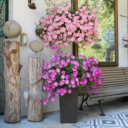 B&B Bounty, B&b, Cuisine Privee, Lit Queen Size, Terrasse, Parking, Garage Olliergues