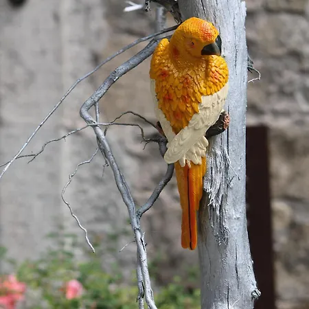 D Hôtes Bounty Cuisine Privative Et Garage Couette-café Olliergues